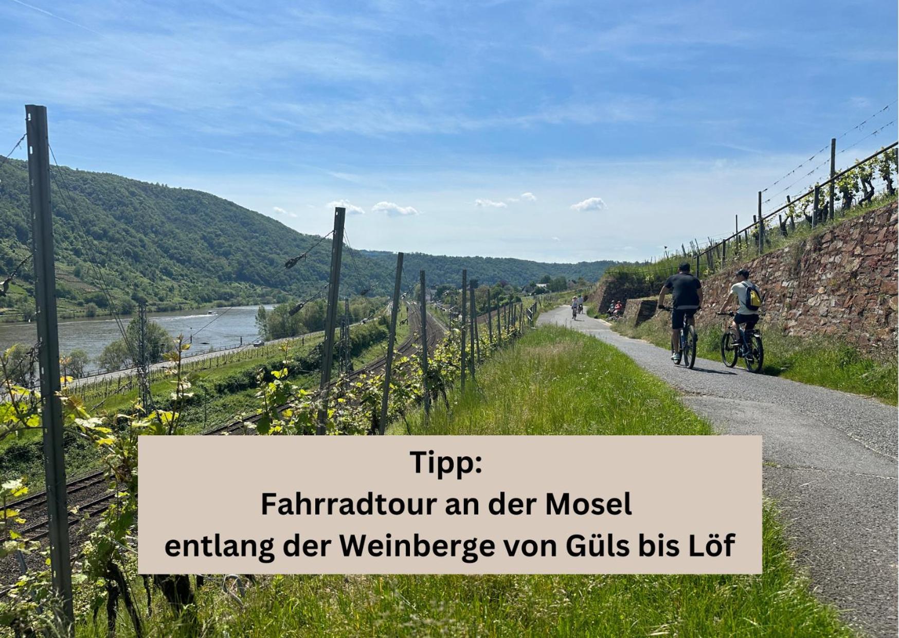 Modern Apartment - Fuer Freunde & Familien, Stadtnah, Parkplatz, E-Ladestation, Gitterbox Fuer Fahrraeder, Fitnessstudio, Digitale Gaestemappe Mit Restaurant- Und Unternehmenstipps Coblenza Esterno foto